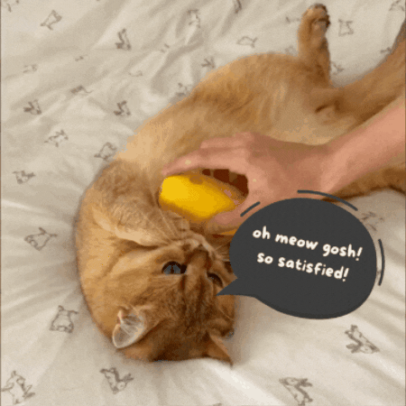 JasMyPurr® Steam Brush