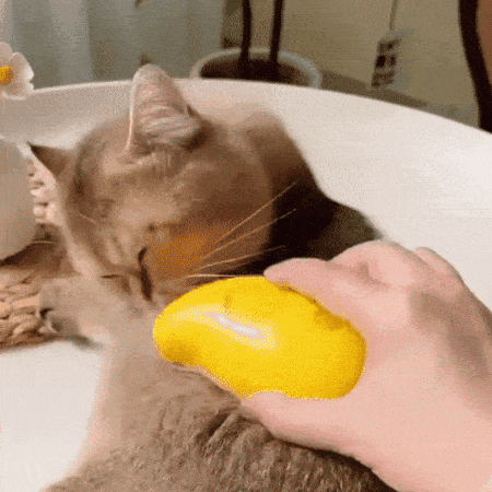 JasMyPurr® Steam Brush